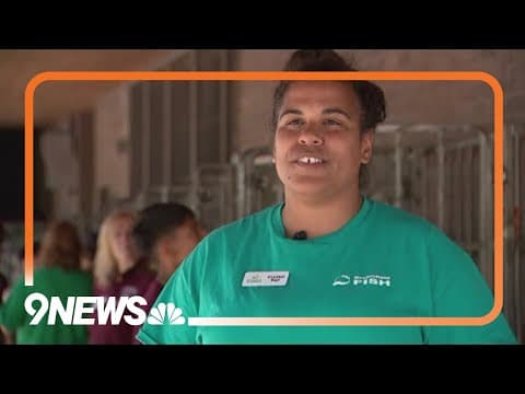 National 'Stamp Out Hunger' food drive taking place around the country