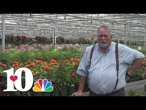 Gardening tips from Neal Denton