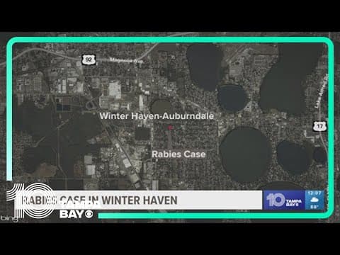 Rabies alert issued in Polk County, health officials say