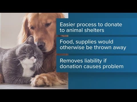 Congress is considering a bill to help donate to animal shelters