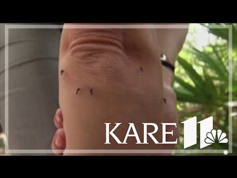 Yes, the mosquitoes are bad right now; here's why