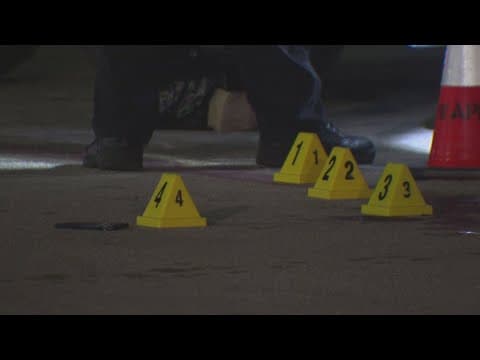 Arlington police fatally shoot 34-year-old man after he 'raised' his gun, officials say