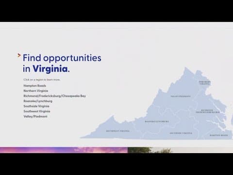 Virginia holds virtual job fair