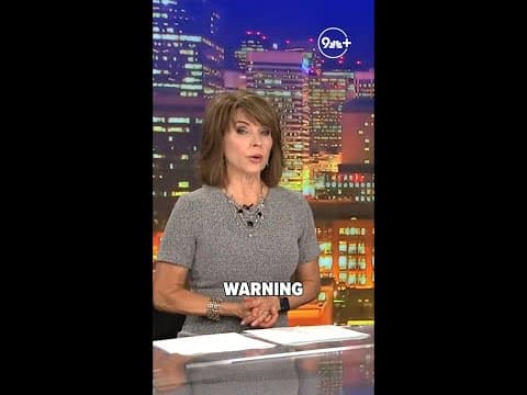 Small dog likely snatched by mountain lion