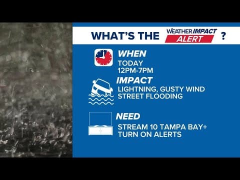 LIVE: 10 Tampa Bay's Weather Impact Team is keeping an eye on today's storms and on the tropics