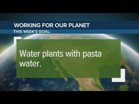 Save your pasta water for plants | Working for Our Planet