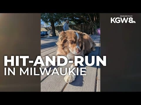 Police searching for driver who hit dog in Milwaukie