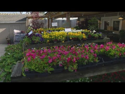 Pat Sullivan on the best time to start planting flowers
