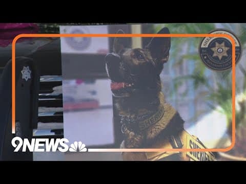 Colorado sheriff's office K9 killed in line of duty being honored in Washington