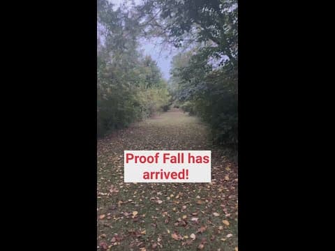 Leaves on the ground indicate fall's arrival in central Indiana