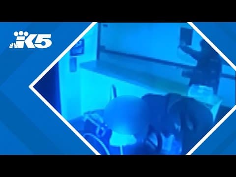 Stabbing suspect due in court