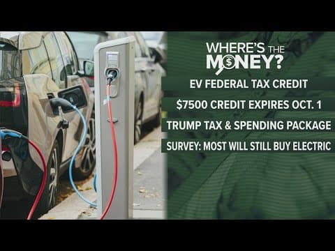 Sales of EV Cars | Where's the money?