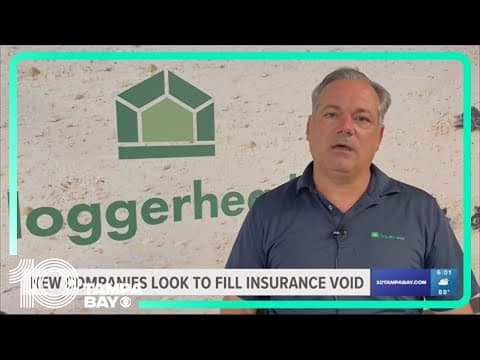 Meet one of the new companies looking to fill Florida's property insurance void