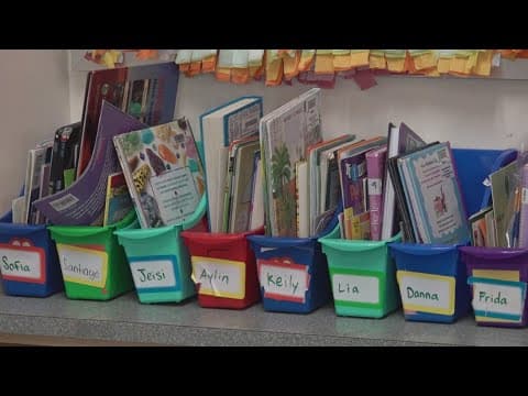 May Book Project aims to help expand representation as libraries face uncertain futures