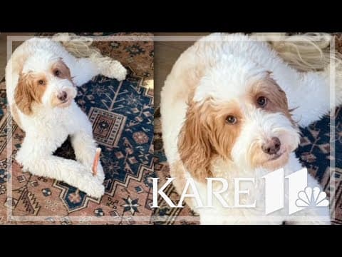 Your Good News: Nancy Fergesen, Kelli Bruhn, Charlie Fox