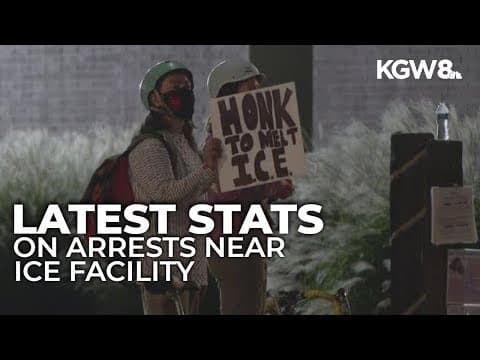 27 arrests since June at Portland ICE site include felony, misdemeanor cases
