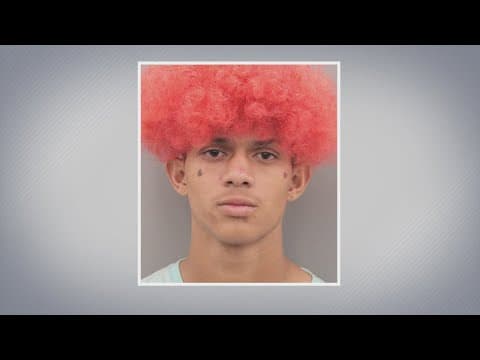 Man pleads guilty in death of transgender woman killed in E. Houston, DA's office says