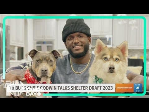 Bucs' Chris Godwin advocates for 'shelter draft' for pets in need