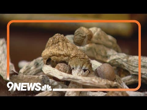 Man pleads guilty after distributing psilocybin mushrooms to teen who later died