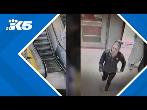 Missing couple likely fled to Mexico with 2-year-old child, Pullman police say