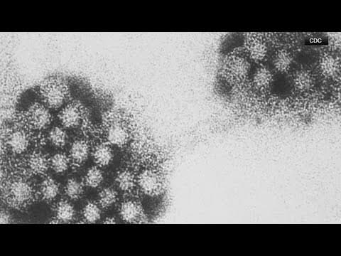 Best practices for when you or your family gets sick