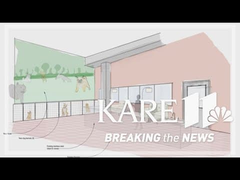 First-of-its-kind pet sanctuary set to open for domestic abuse survivors