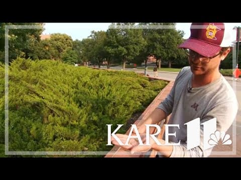 University of Minnesota workers walk off the job, services disrupted