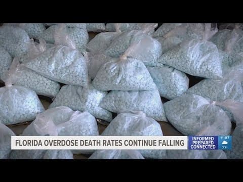 Research shows Florida overdose death rates are falling. Here's how new laws, resources are helping