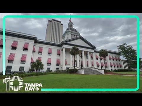 Florida's new year kicks off with major law changes including social media and voter registration re