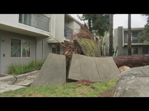 Tree falls in El Cajon during winter storm, narrowly missing home