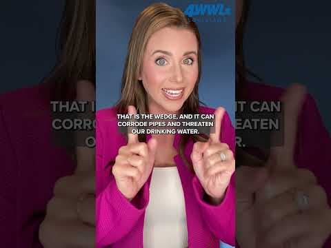 Efforts are underway once again to stop saltwater from creeping up the Mississippi River