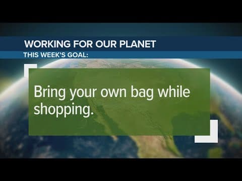 'Break Up with Single-Use Bags' campaign | Working for Our Planet