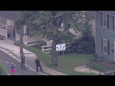 Tracking now: small black bear stuck in tree in Fairfax County