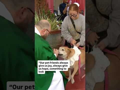 Pets receive blessing at St. Paul’s Episcopal Cathedral