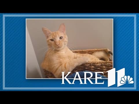 Your Good News: Steph Lang, Paula Tucker, Rob