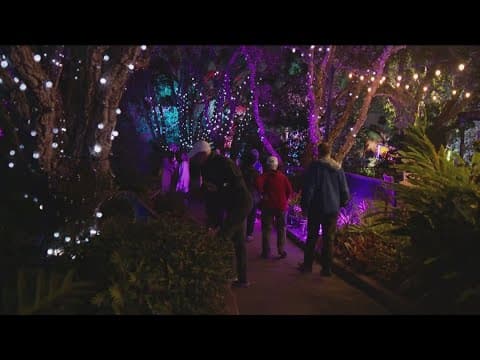 New art installations light up the San Diego Botanic Garden this winter
