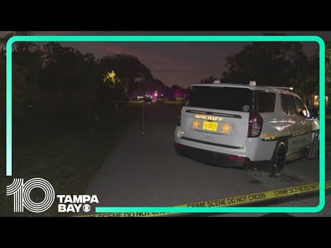 Pinellas County deputies shoot armed man during domestic violence call