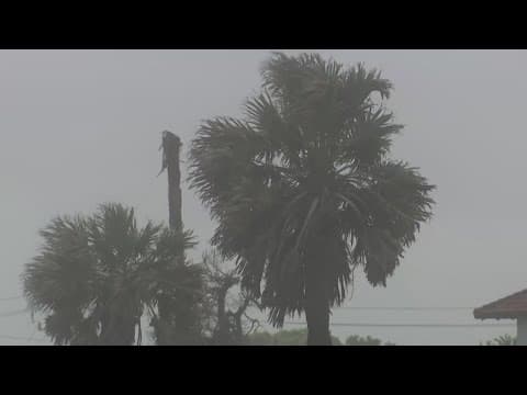 State, city officials prepare for potential tropical storm impacts in Southeast Texas