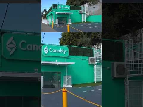 Cannabis store owners charged with felonies after police raid #news #court #crime