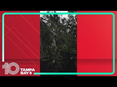 Possible Tallahassee tornado brings down trees, causes property damage