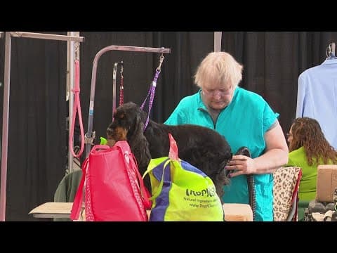 Indy Winter Classic Dog Show