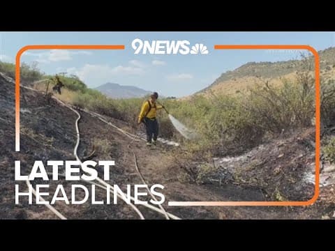 Latest Headlines | Another brush fire caused by birds