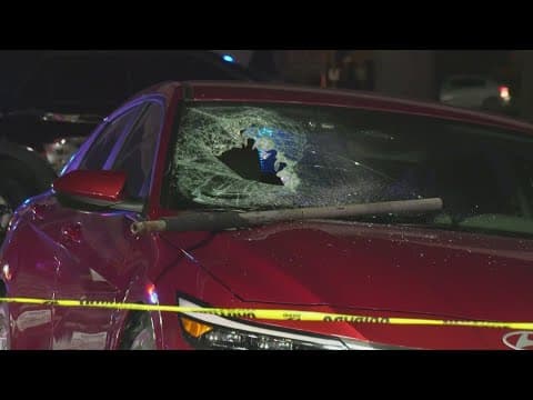 How a routine crash along a Houston freeway turned into a deadly crime spree