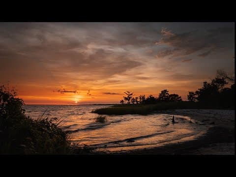 Skull fragment found near Lake Pontchartrain revealed to be 3,500 years old
