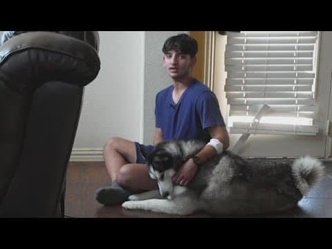 Frisco teen stabbed while walking his dog