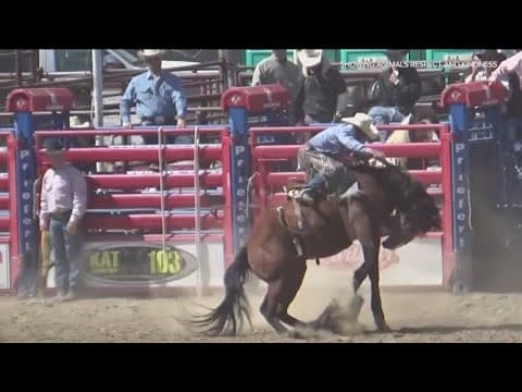 Push to prevent rodeo from being held at Petco Park continues