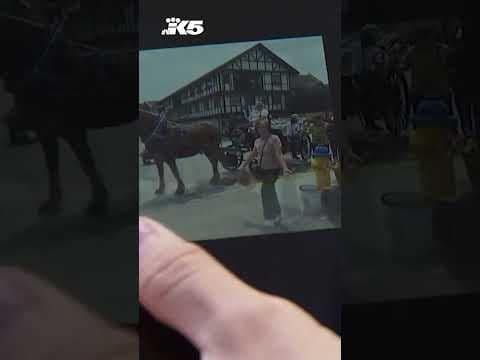 Family seeks public's help in identifying driver who hit 64-year-old woman