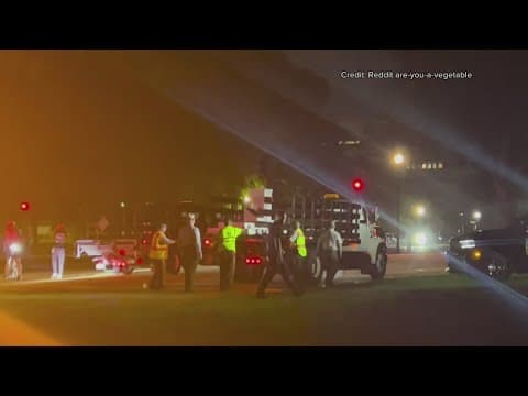 Trump-Epstein 'friendship' statue removed one day after it appeared