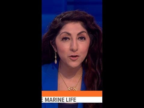 Public invited to 'pier clear' Des Moines Marina ahead of docks demolitions