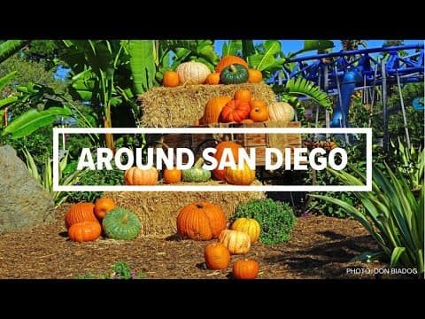 Around San Diego | October 7